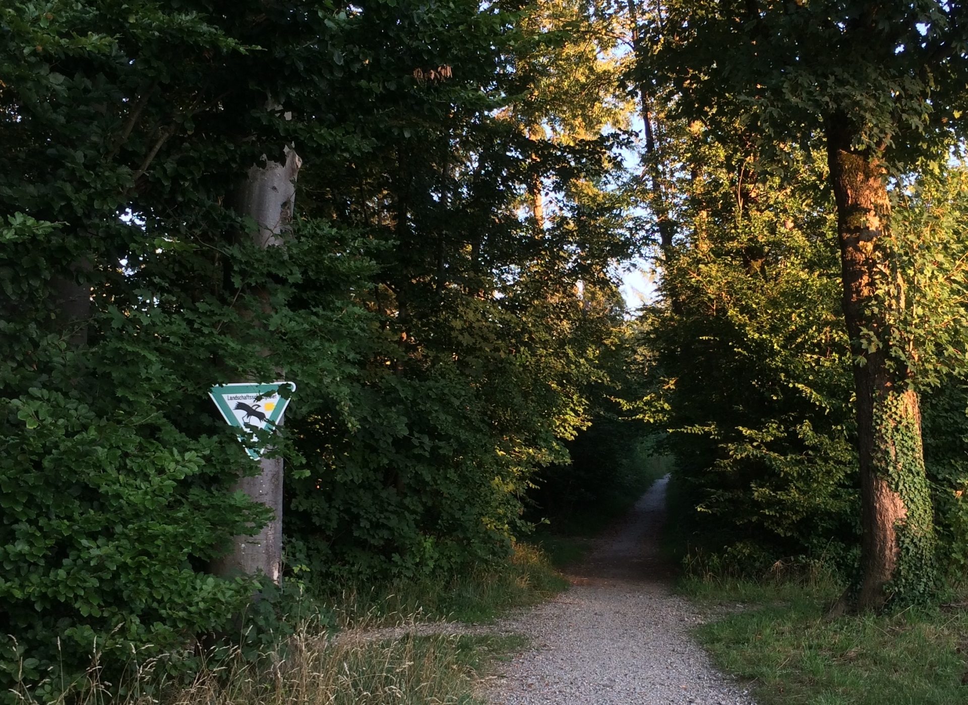 Ramadama - CleanUp Perlacher Forst in Harlaching, München (Bayern)