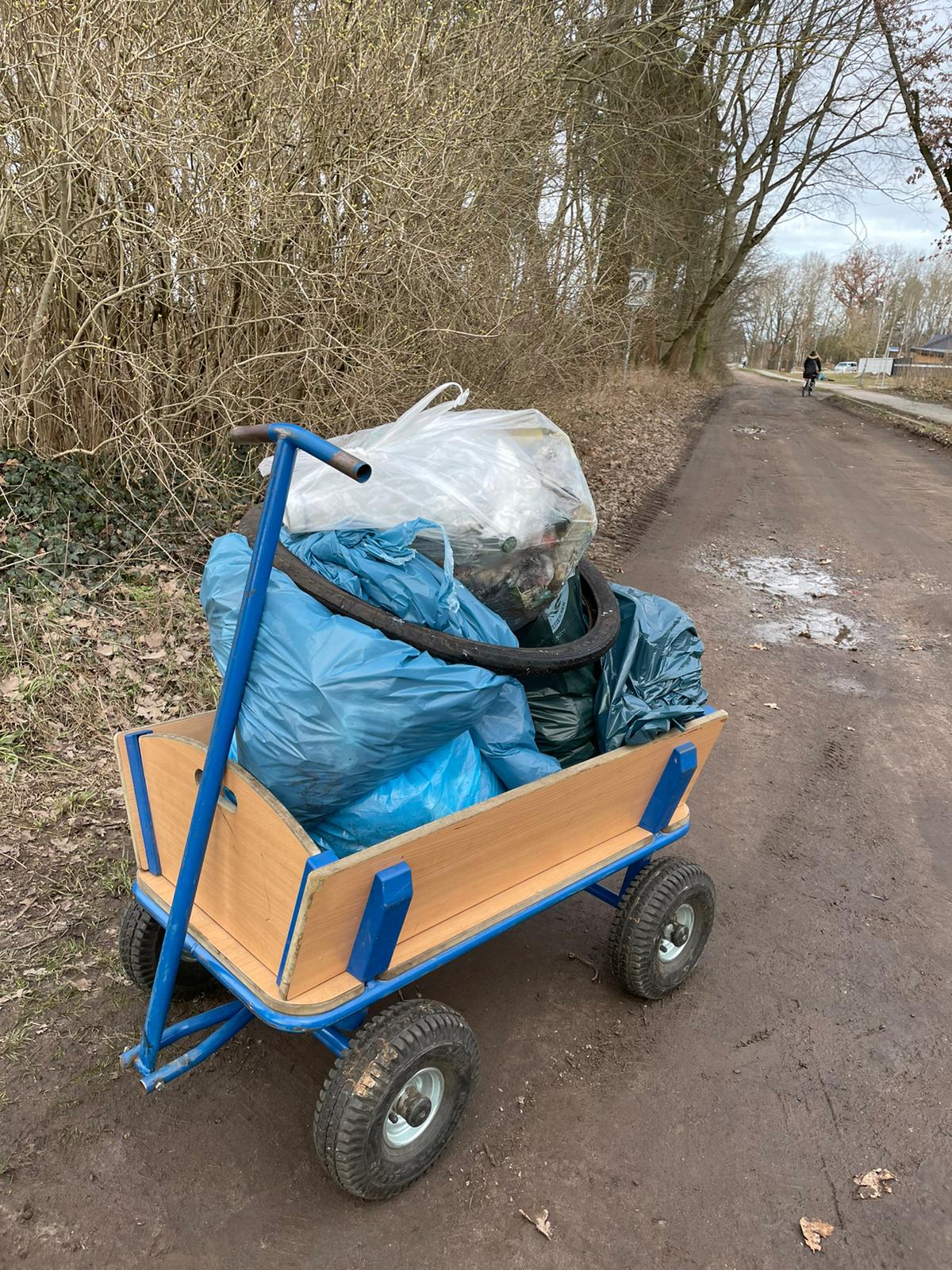 Müllsammelaktion im Rahmen des World Cleanup Day (Brandenburg)
