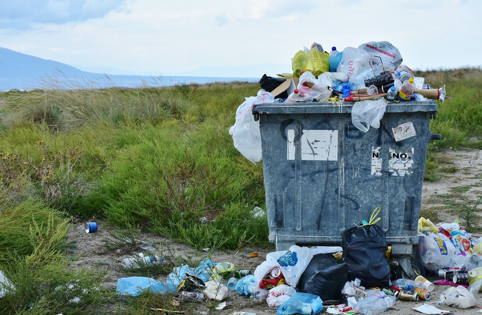 Der Müll muss weg! Oschatz - meine Stadt bleibt sauber! (Sachsen)