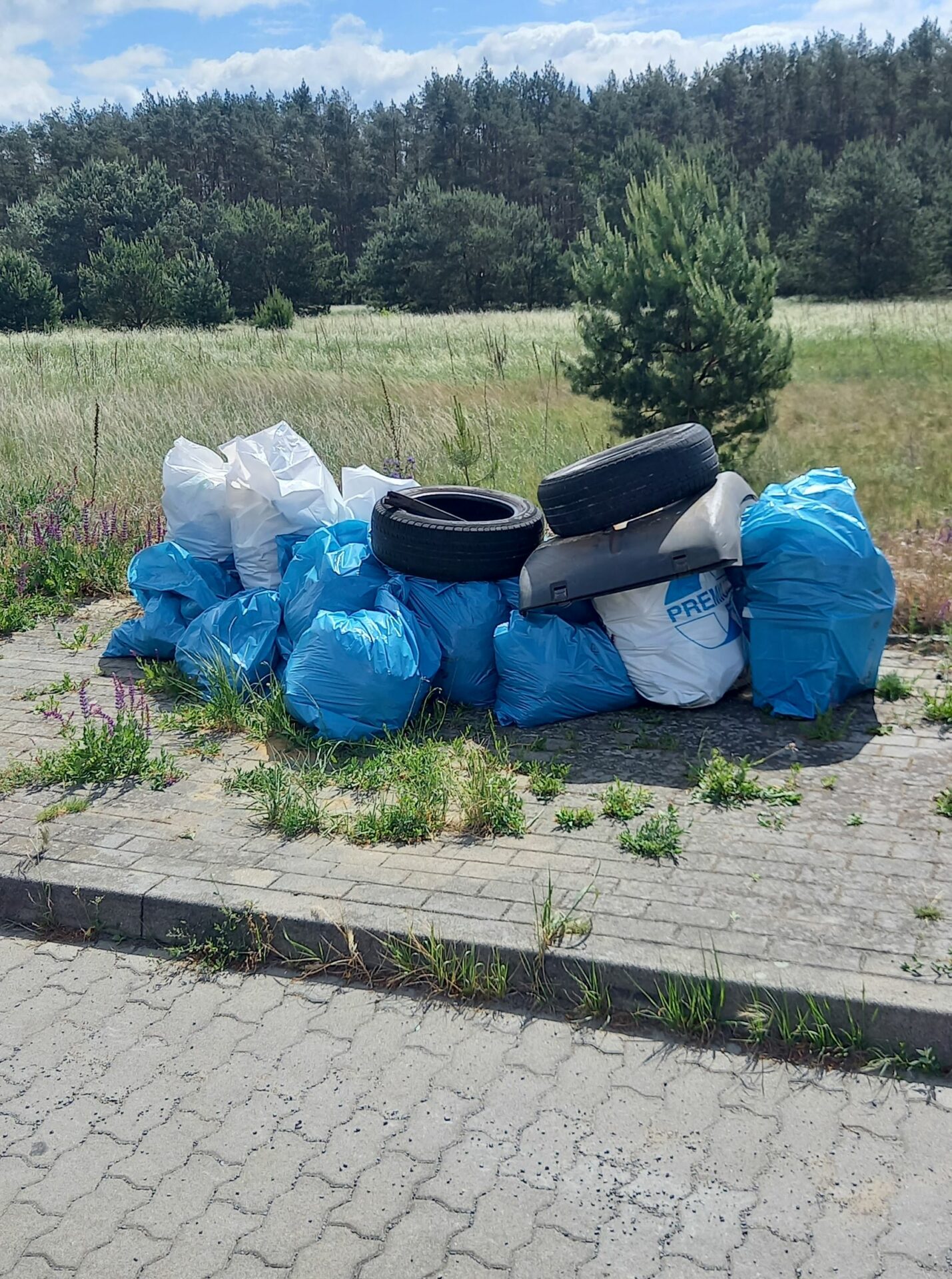 2. World Cleanup Day der Stadt Teupitz und Ortsteile Egsdorf, Neuendorf und Tornow (Brandenburg)