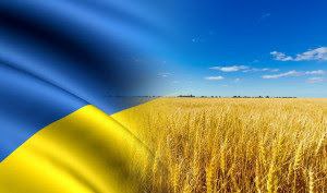 Ukrainska_dopomoga - Ukrainer räumen in Lemgo auf (Nordrhein-Westfalen)