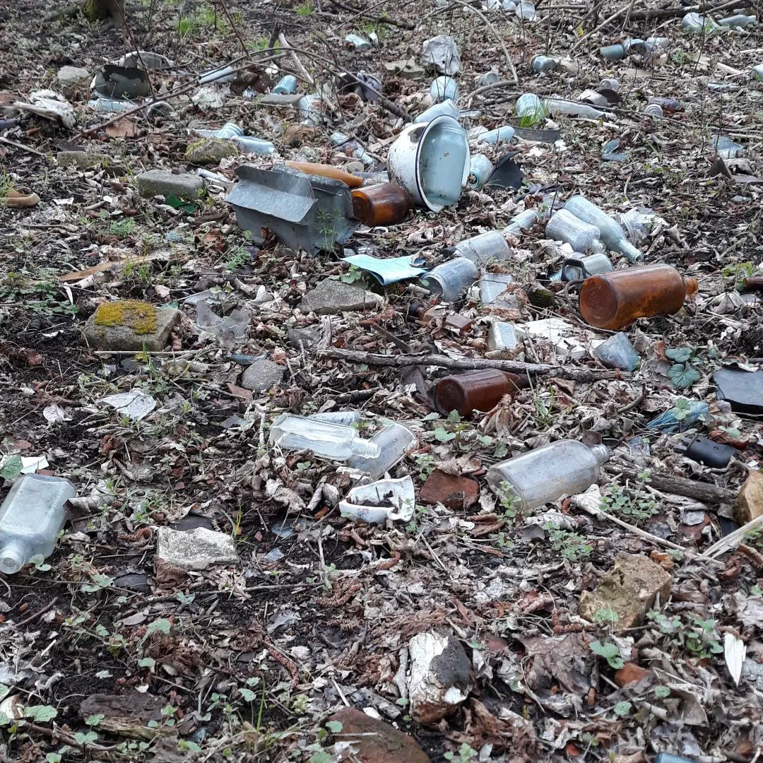 DDR Müll einsammeln im Naturschutzgebiet Wernsdorfer See (Brandenburg)
