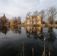 Wolks räumt auf (Leipzig-Liebertwolkwitz) (Sachsen)