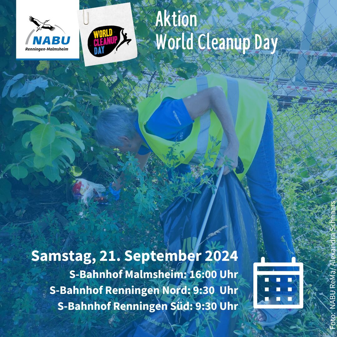 Cleanup Day Malmsheim (BW)