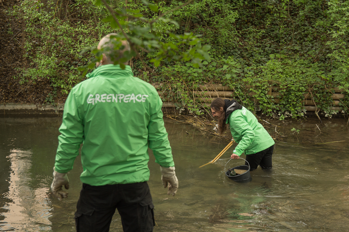 Müllsammeln mit Greenpeace und Forum Plastikfrei in Augsburg (Bayern)