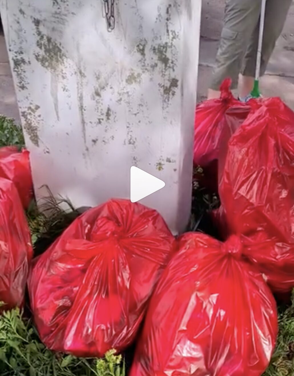 Mehrwertstadt Clean-up in Ilversgehofen (Thüringen)