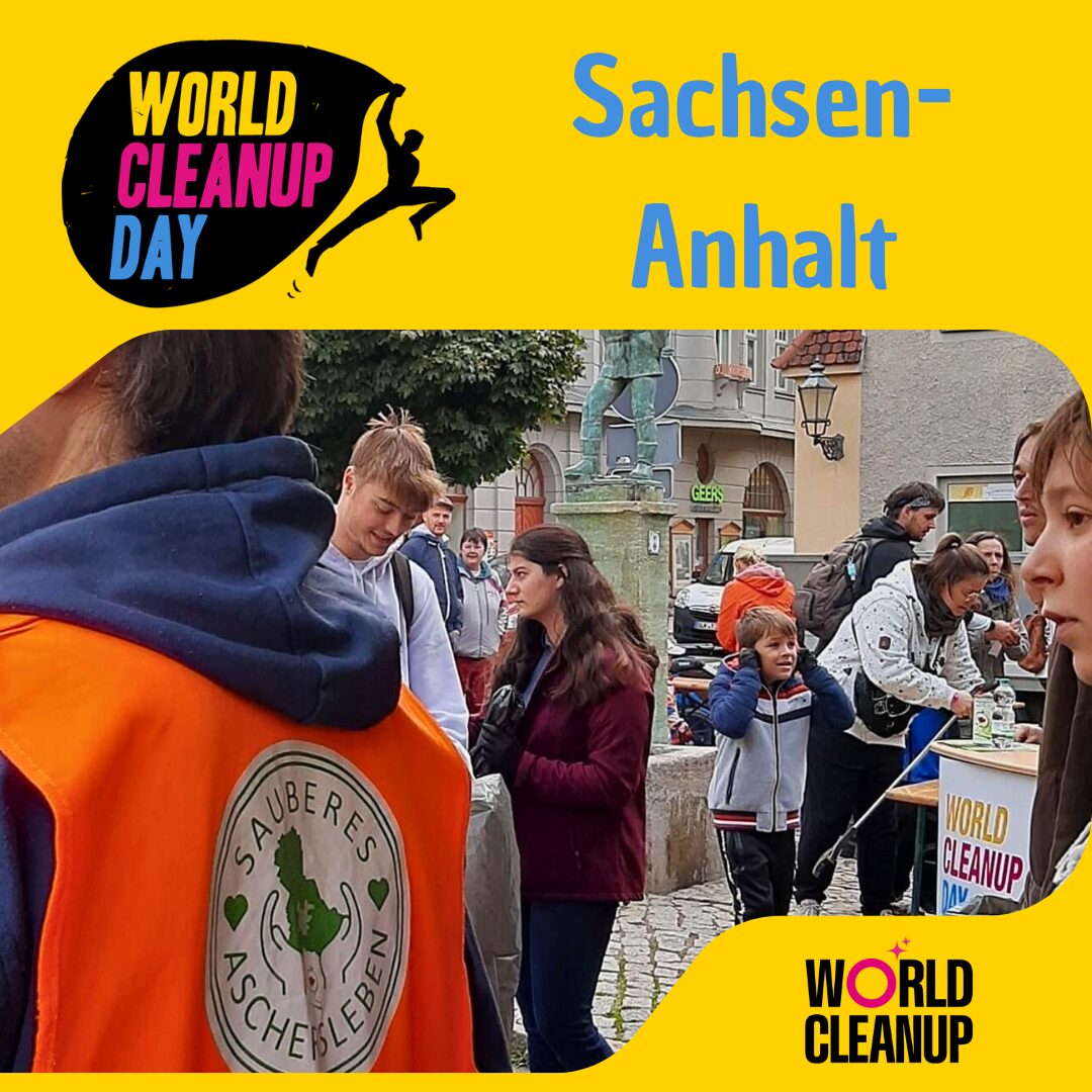 WCD (Sachsen-Anhalt)